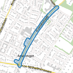 Koenestraat