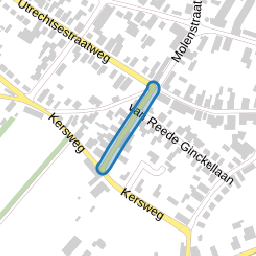 Rijnstraat