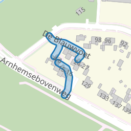 De Blauwvoet