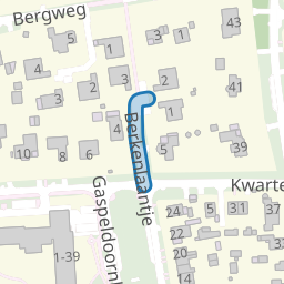 Berkenlaantje