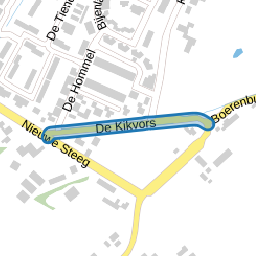 De Kikvors
