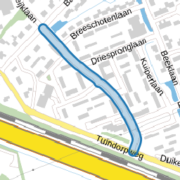 Buntlaan