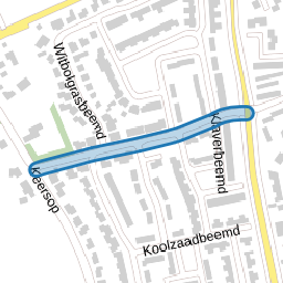 Boekweitbeemd