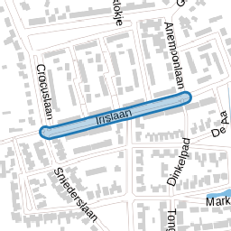 Irislaan