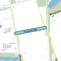 Koppeldijk
