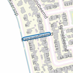 Papaverbeemd