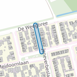 Vlierpad