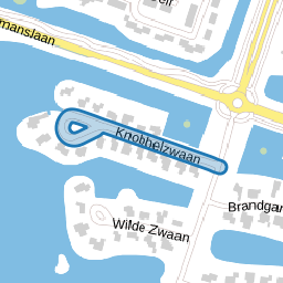 Knobbelzwaan