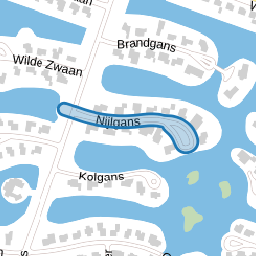 Nijlgans