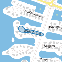 Wilde Zwaan