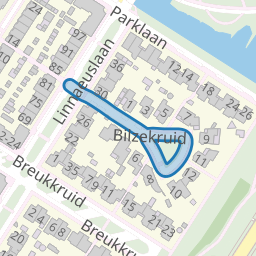 Bilzekruid