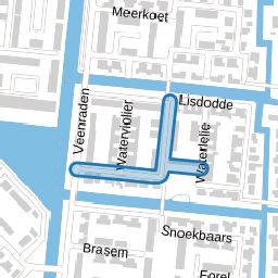 Dotterbloem