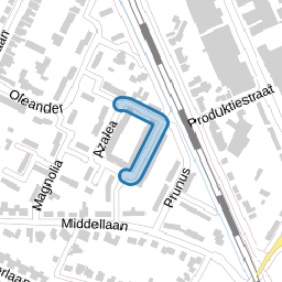 Jasmijn