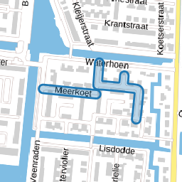 Meerkoet