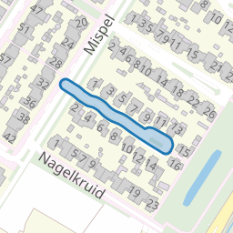 Moederkruid