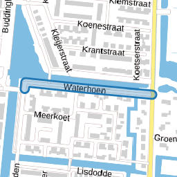 Waterhoen