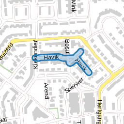Havik