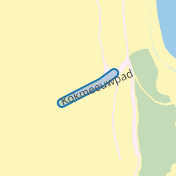 Kokmeeuwpad