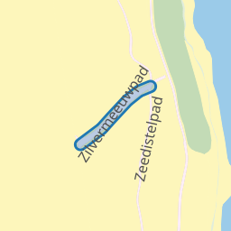 Zilvermeeuwpad