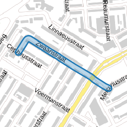 Zwaanstraat