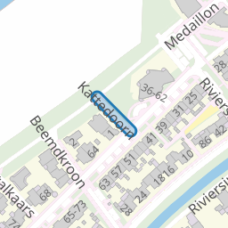 Kattedoorn