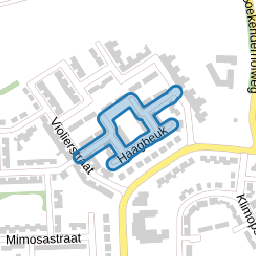 Haagbeuk