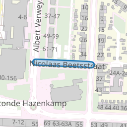 Nicolaas Beetsstraat