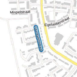 Vuurdoornstraat