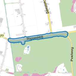 Ripseweg