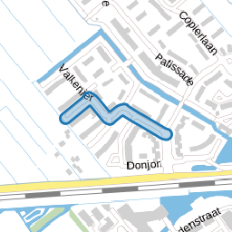Ridderspoor