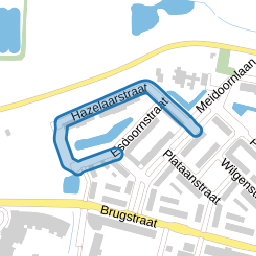 Hazelaarstraat