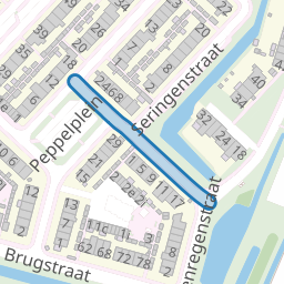 Peppelstraat