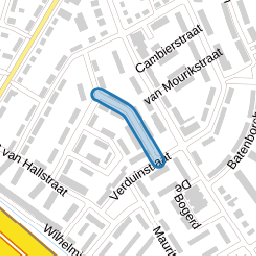 van Eijkstraat