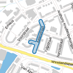 Asterstraat