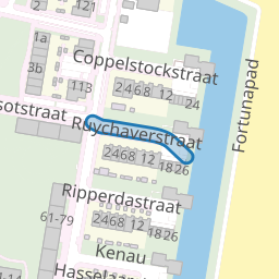 Ruychaverstraat