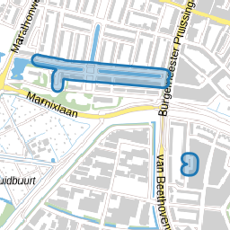Surinamesingel