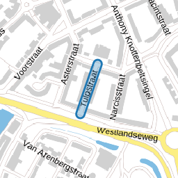 Tulpstraat