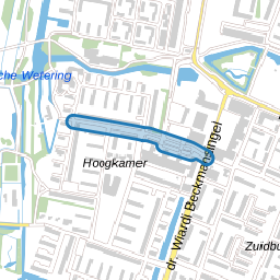 van Baerlestraat