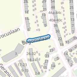 Begonialaan
