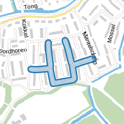 Tapijtschelp