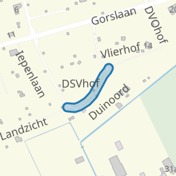 DSVhof