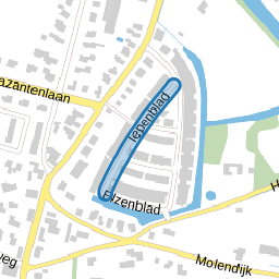 Iepenblad