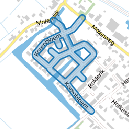 Korenbloem