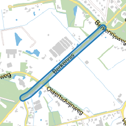 Berkenrijs