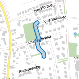Veenpad