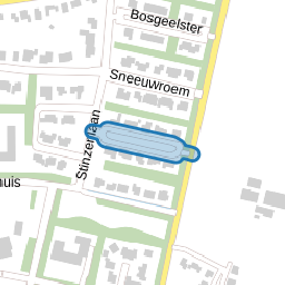 Weidegeelster