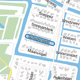Schepsnavel