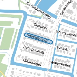 Sneeuwvlerk
