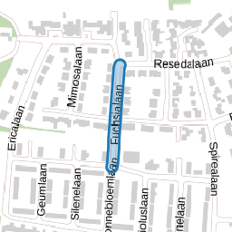 Fuchsialaan