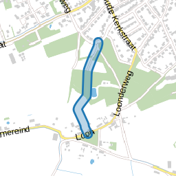 Loonderkerkpad
